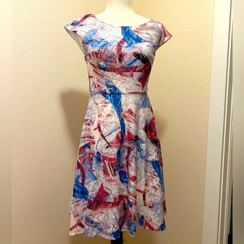 ModCloth lace printed paint dress Vintage silhouette
